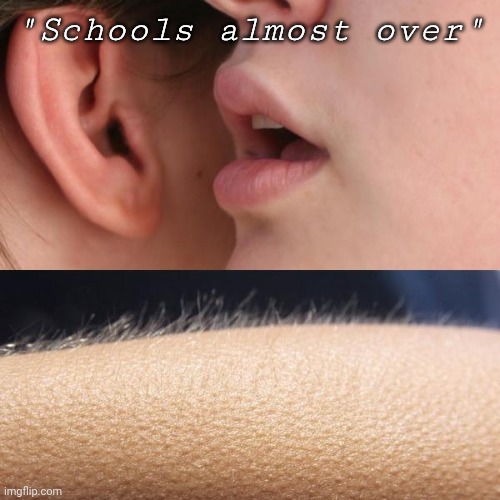 Whisper and Goosebumps | "Schools almost over" | image tagged in whisper and goosebumps | made w/ Imgflip meme maker