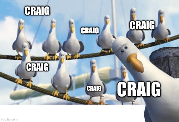 Craig seagull | CRAIG; CRAIG; CRAIG; CRAIG; CRAIG; CRAIG | image tagged in finding nemo seagulls | made w/ Imgflip meme maker