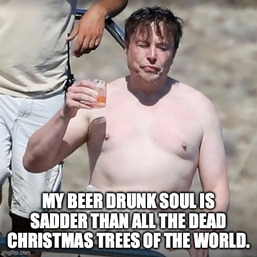 Charles Bukowski can make things seem all too clear | MY BEER DRUNK SOUL IS SADDER THAN ALL THE DEAD CHRISTMAS TREES OF THE WORLD. | image tagged in elon musk drunk,charles bukowski,hold my beer,sadness,chubby bubbles girl | made w/ Imgflip meme maker