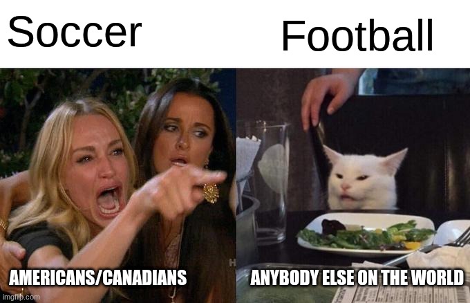 Woman Yelling At Cat | Soccer; Football; AMERICANS/CANADIANS; ANYBODY ELSE ON THE WORLD | image tagged in memes,woman yelling at cat | made w/ Imgflip meme maker