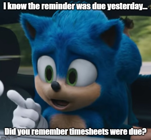 Sonic Asks Timesheet reminder | I know the reminder was due yesterday... Did you remember timesheets were due? | image tagged in sonic point,timesheets,reminder,timesheet due,sonic hedgehog | made w/ Imgflip meme maker