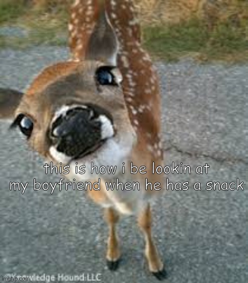 I <3 My bf Rowan | this is how i be lookin at my boyfriend when he has a snack | made w/ Imgflip meme maker
