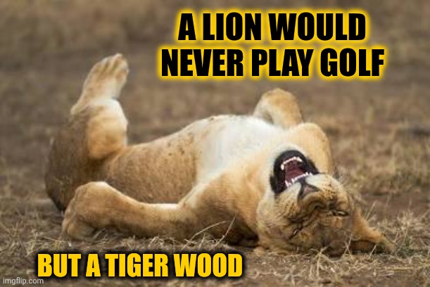 But A Tiger Would | A LION WOULD NEVER PLAY GOLF; BUT A TIGER WOOD | image tagged in memes,that's just silly cat,goofy,lol,old jokes,say that again i dare you | made w/ Imgflip meme maker