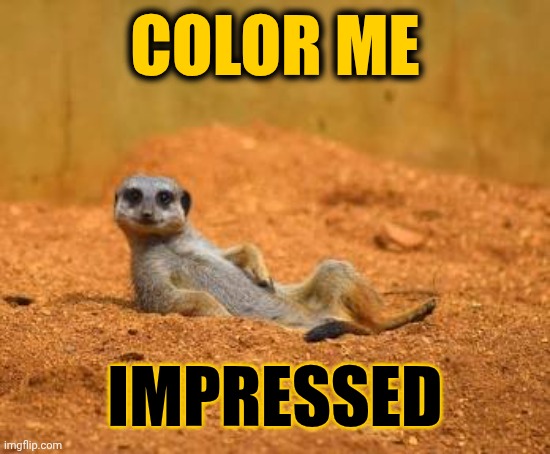Impressive | COLOR ME; IMPRESSED | image tagged in memes,color me impressed,impressive,expressions,facial expressions,have a great day | made w/ Imgflip meme maker