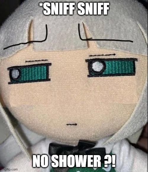 Fumo Youmu sniffing | *SNIFF SNIFF; NO SHOWER ?! | image tagged in fumo youmu sniffing | made w/ Imgflip meme maker