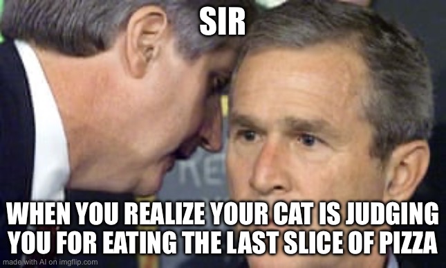George Bush 9/11 | SIR; WHEN YOU REALIZE YOUR CAT IS JUDGING YOU FOR EATING THE LAST SLICE OF PIZZA | image tagged in george bush 9/11 | made w/ Imgflip meme maker