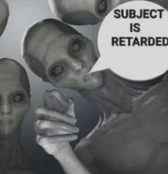 sybau Blank Meme Template