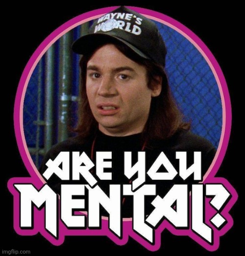 Wayne's World | image tagged in waynes world,mental,mental health,mental illness,memes,classic | made w/ Imgflip meme maker