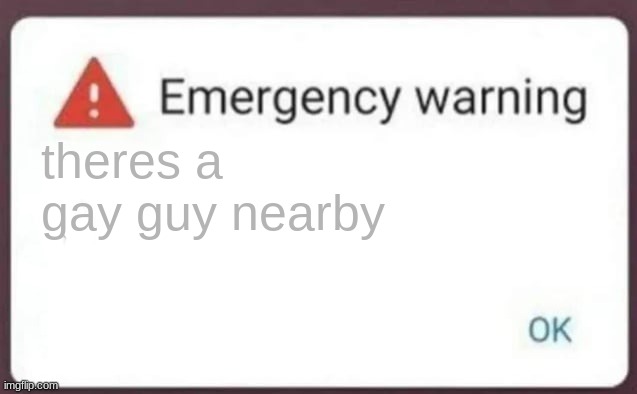 Emergency Warning | theres a gay guy nearby | image tagged in emergency warning | made w/ Imgflip meme maker