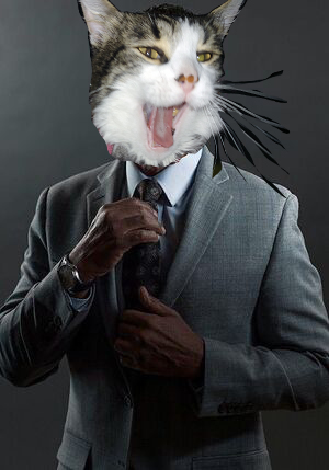 Screaming Gustavo Cat Blank Meme Template
