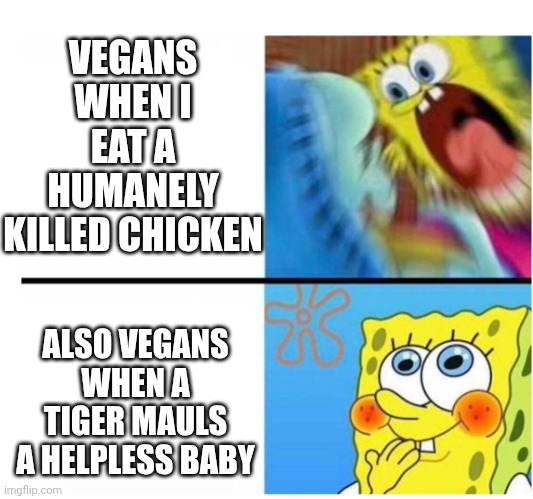 spongebob angry cute | VEGANS WHEN I EAT A HUMANELY KILLED CHICKEN ALSO VEGANS WHEN A TIGER MAULS A HELPLESS BABY | image tagged in spongebob angry cute | made w/ Imgflip meme maker