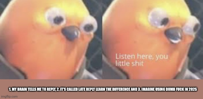Listen here you little shit bird | 1. MY BRAIN TELLS ME TO REPLY, 2. IT'S CALLED LATE REPLY LEARN THE DIFFERENCE AND 3. IMAGINE USING DUMB FUCK IN 2025 | image tagged in listen here you little shit bird | made w/ Imgflip meme maker