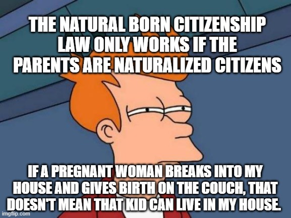 Think it through | THE NATURAL BORN CITIZENSHIP LAW ONLY WORKS IF THE PARENTS ARE NATURALIZED CITIZENS; IF A PREGNANT WOMAN BREAKS INTO MY HOUSE AND GIVES BIRTH ON THE COUCH, THAT DOESN'T MEAN THAT KID CAN LIVE IN MY HOUSE. | image tagged in memes | made w/ Imgflip meme maker