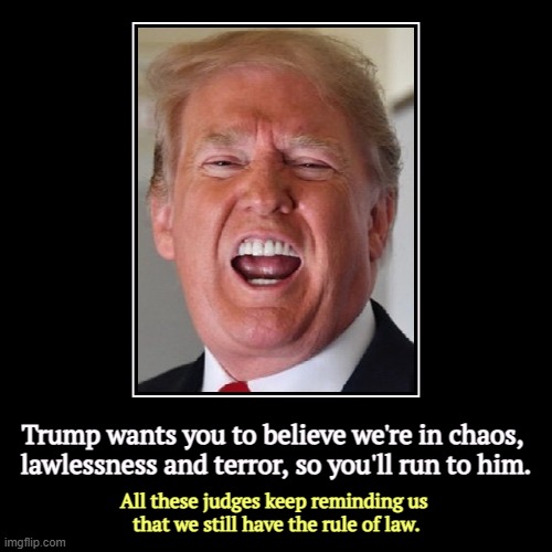 If you want to fix chaos, Trump is the last man you want to call. He's a super-spreader. | Trump wants you to believe we're in chaos, 

lawlessness and terror, so you'll run to him. | All these judges keep reminding us 
that we sti | image tagged in funny,demotivationals,trump,chaos,terror,judges | made w/ Imgflip demotivational maker