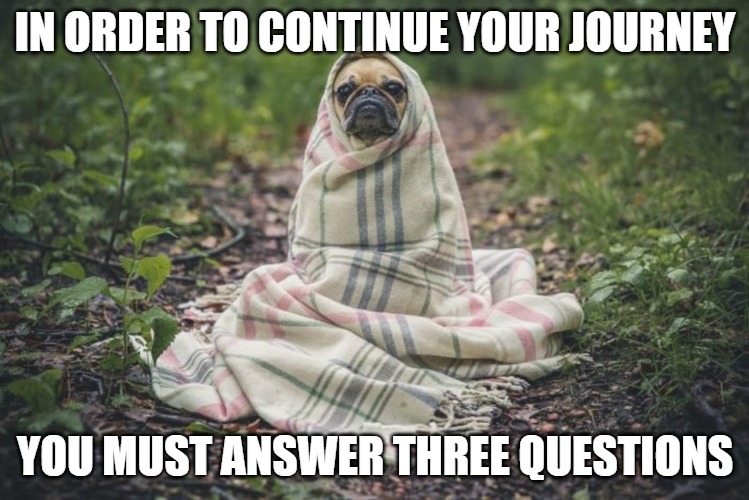 Pug Shaman | IN ORDER TO CONTINUE YOUR JOURNEY; YOU MUST ANSWER THREE QUESTIONS | image tagged in funny memes,pug,shaman | made w/ Imgflip meme maker