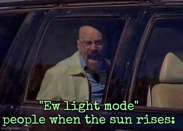 Walter White Screaming At Hank | "Ew light mode" people when the sun rises: | image tagged in walter white screaming at hank | made w/ Imgflip meme maker