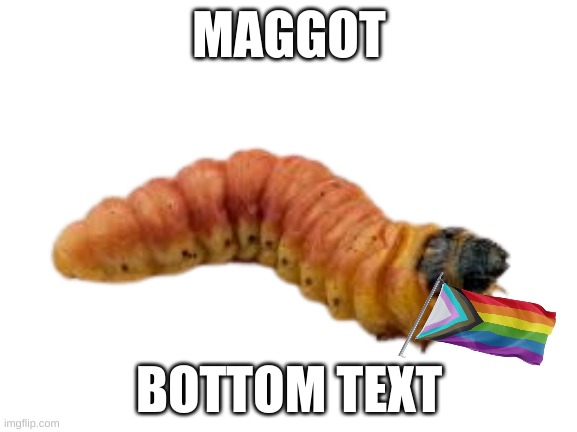 yuh | MAGGOT; BOTTOM TEXT | image tagged in maggot | made w/ Imgflip meme maker