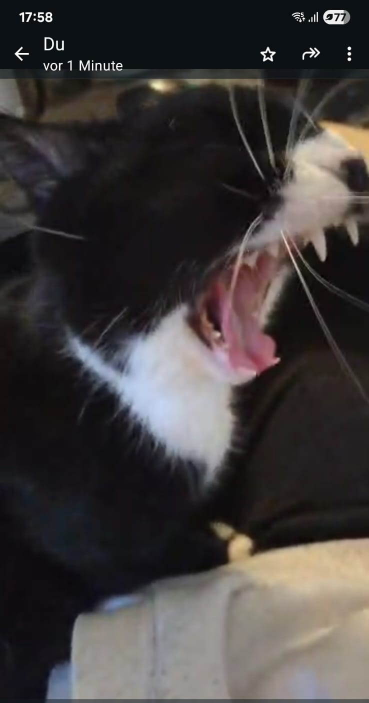 Big yawn Blank Meme Template