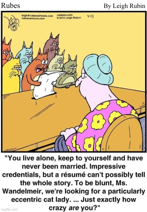 Rubes; By Leigh Rubin | image tagged in comics,rubes,cats,crazy cat lady | made w/ Imgflip meme maker