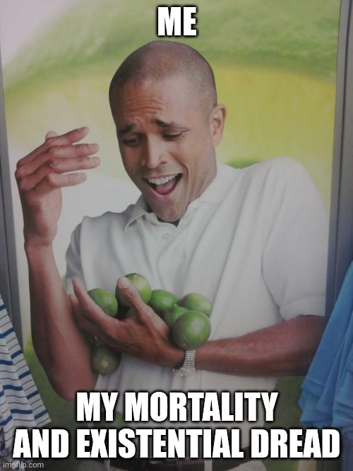Idk what this even is supposed to mean | ME; MY MORTALITY AND EXISTENTIAL DREAD | image tagged in memes,why can't i hold all these limes | made w/ Imgflip meme maker