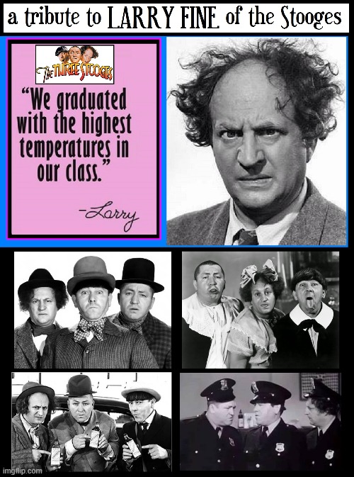The Talented Violinist who wound up a Stooge | image tagged in vince vance,3 stooges,memes,larry fine,curly,moe howard | made w/ Imgflip meme maker