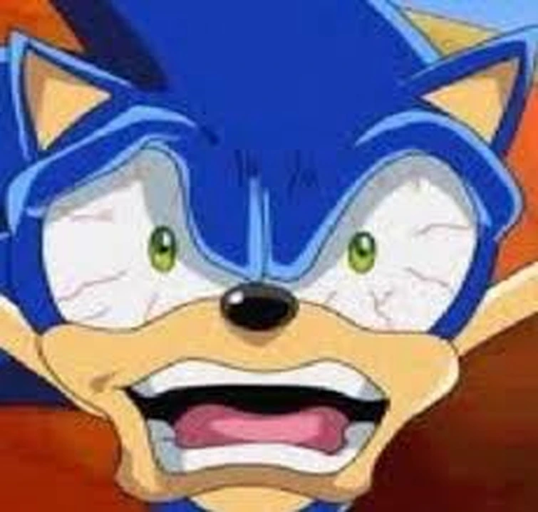 High Quality Angry Sonic Blank Meme Template