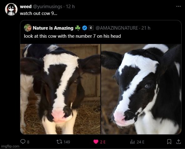 Just some cow repost | image tagged in 7,cow,memes | made w/ Imgflip meme maker