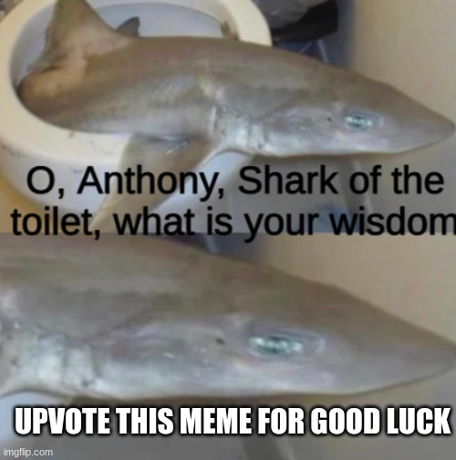 Anthony, Shark of the Toilet | UPVOTE THIS MEME FOR GOOD LUCK | image tagged in anthony shark of the toilet | made w/ Imgflip meme maker