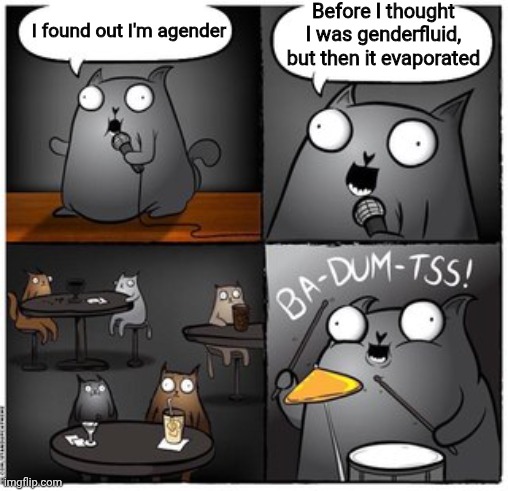 Bad joke I'm sorry | Before I thought I was genderfluid, but then it evaporated; I found out I'm agender | image tagged in ba-dum-tss cat,genderfluid,agender | made w/ Imgflip meme maker
