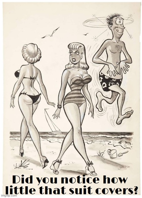How much more could a Cartoon Character want? | image tagged in vince vance,cartoons,sand,bathing suits,day at the beach,bikini girls | made w/ Imgflip meme maker