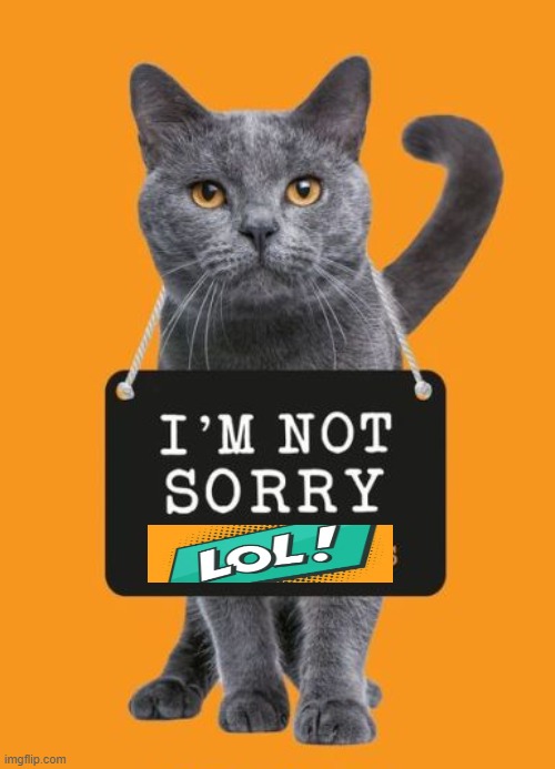 The Truth! | image tagged in cats,sorry not sorry,lol,truth | made w/ Imgflip meme maker