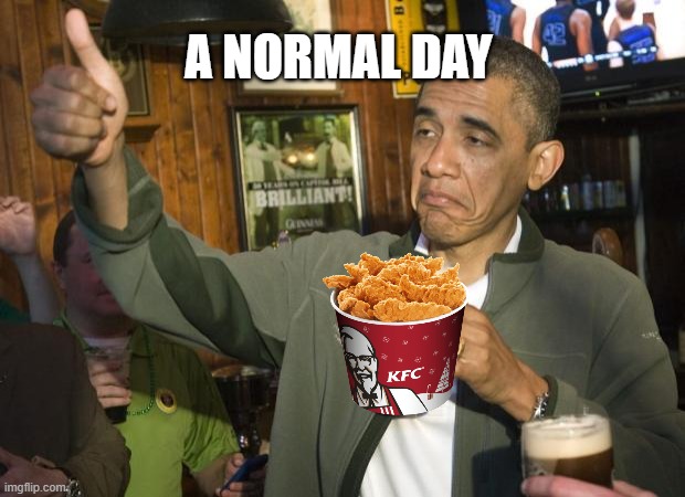 what it looks like | A NORMAL DAY | image tagged in not bad,obama | made w/ Imgflip meme maker