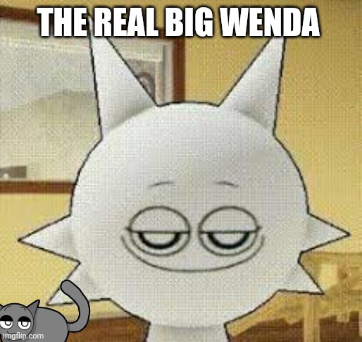 Big wenda in 4K | THE REAL BIG WENDA | image tagged in big aah smug wenda | made w/ Imgflip meme maker