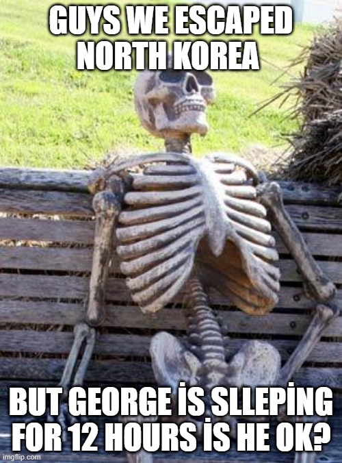 Greg : ) | GUYS WE ESCAPED NORTH KOREA; BUT GEORGE İS SLLEPİNG FOR 12 HOURS İS HE OK? | image tagged in memes,waiting skeleton | made w/ Imgflip meme maker