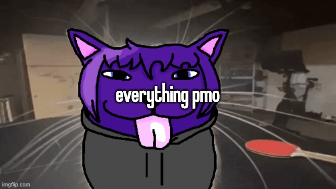 tge silly | everything pmo | image tagged in tge silly | made w/ Imgflip meme maker