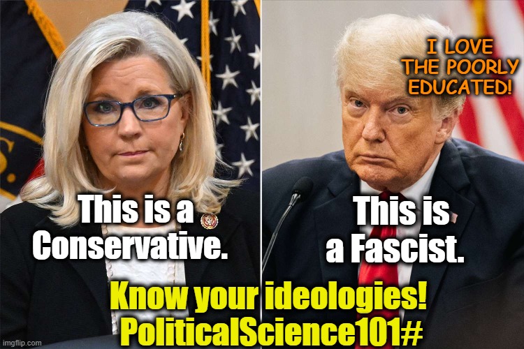 Know Your Ideologies | I LOVE THE POORLY EDUCATED! This is a Conservative. This is a Fascist. Know your ideologies!  PoliticalScience101# | image tagged in maga,nevertrump meme,donald trump is an idiot,conservatives,fascism,gop | made w/ Imgflip meme maker