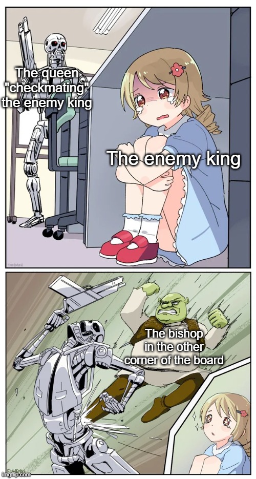 Watch out for them snipers | The queen "checkmating" the enemy king; The enemy king; The bishop in the other corner of the board | image tagged in shrek killing terminator,memes,chess | made w/ Imgflip meme maker