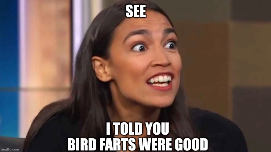 Crazy AOC | SEE I TOLD YOU BIRD FARTS WERE GOOD | image tagged in crazy aoc | made w/ Imgflip meme maker