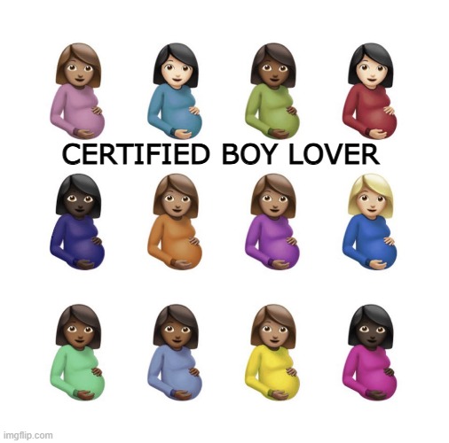 Certified Boy Lover: Is he gay? | CERTIFIED BOY LOVER | image tagged in certified lover boy,drake,beef,not like us | made w/ Imgflip meme maker