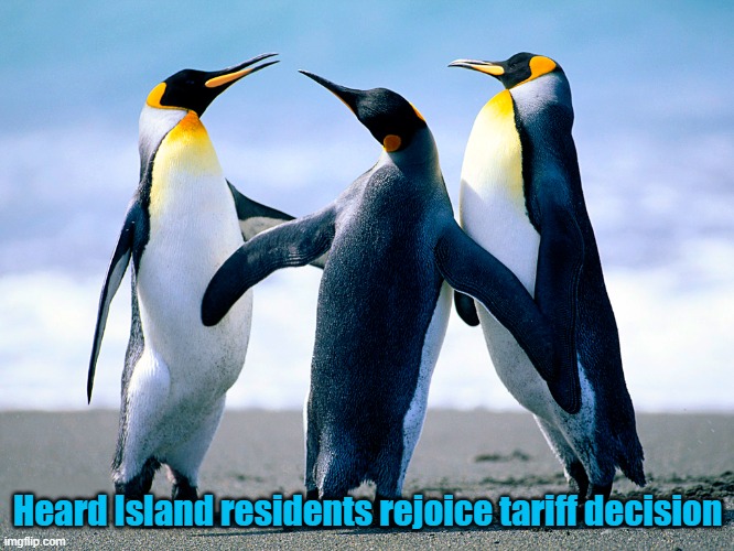 Penguin dance | Heard Island residents rejoice tariff decision | image tagged in penguin dance | made w/ Imgflip meme maker