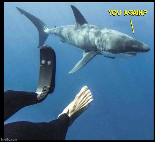 Some Folks Never Learn | image tagged in vince vance,sharks,memes,dark humor,shark attack,foot | made w/ Imgflip meme maker