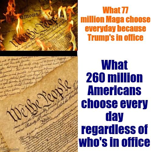 Just Try And Stop Us Now | What 77 million Maga choose everyday because Trump's in office; What 260 million Americans choose every day regardless of who's in office | image tagged in memes,drake hotline bling,true patriotism,real patriots don't destroy everything,trump lies,maga | made w/ Imgflip meme maker