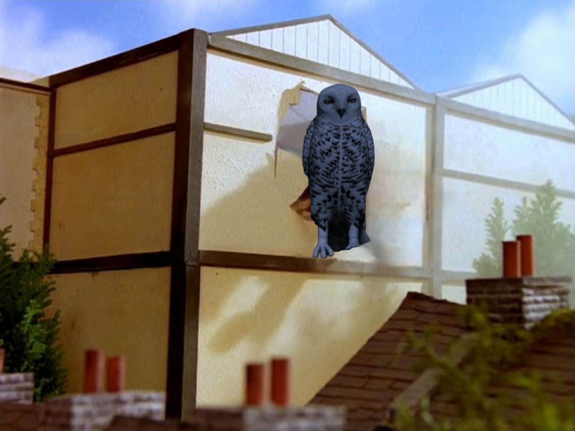 Snowy Owl Does the Station Joke Blank Meme Template