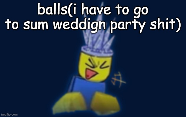 the silly | balls(i have to go to sum weddign party shit) | image tagged in the silly | made w/ Imgflip meme maker