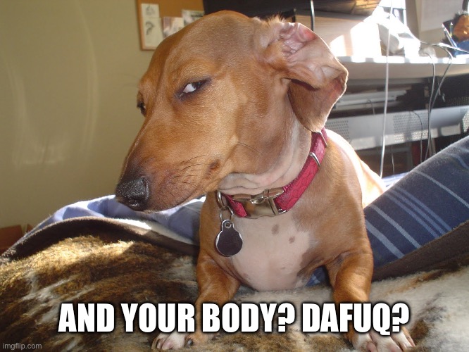Suspicious Dog | AND YOUR BODY? DAFUQ? | image tagged in suspicious dog | made w/ Imgflip meme maker