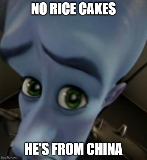 Megamind no bitches | NO RICE CAKES; HE'S FROM CHINA | image tagged in megamind no bitches | made w/ Imgflip meme maker