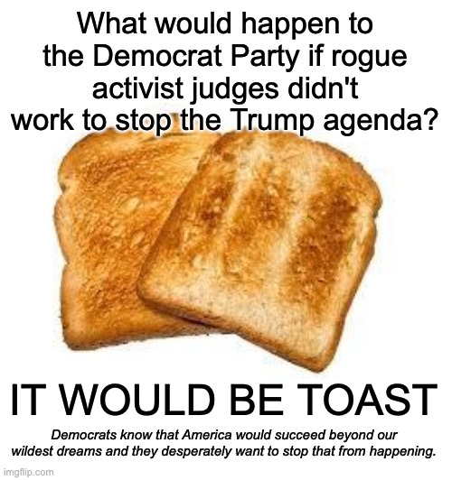 The world doesn't work the way liberals hope. THEY don't even live the way they want everyone else to live. | What would happen to the Democrat Party if rogue activist judges didn't work to stop the Trump agenda? IT WOULD BE TOAST; Democrats know that America would succeed beyond our wildest dreams and they desperately want to stop that from happening. | image tagged in toast,democrats,scummy democrats,liberal democrats,worthless democrats | made w/ Imgflip meme maker