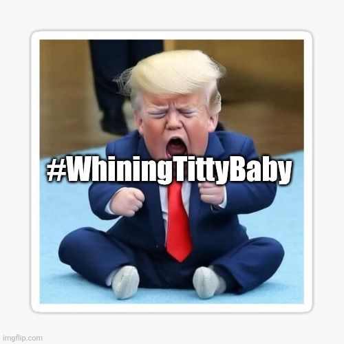 Whining titty baby | #WhiningTittyBaby | made w/ Imgflip meme maker