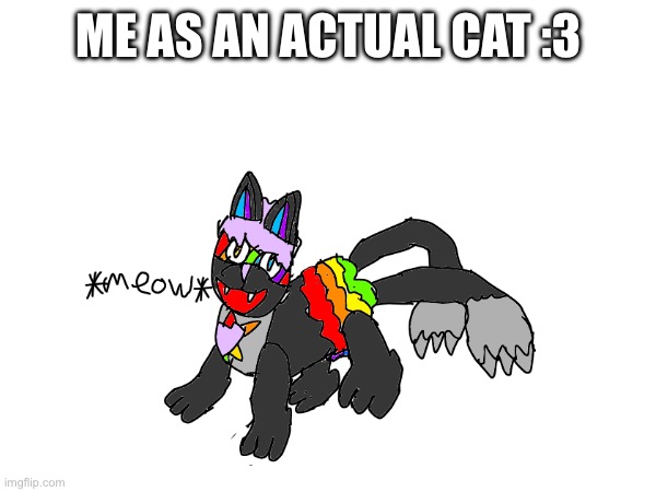 MIAU | ME AS AN ACTUAL CAT :3 | made w/ Imgflip meme maker