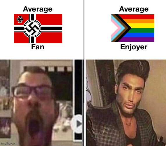 Average Fan vs. Average Enjoyer | image tagged in average fan vs average enjoyer | made w/ Imgflip meme maker